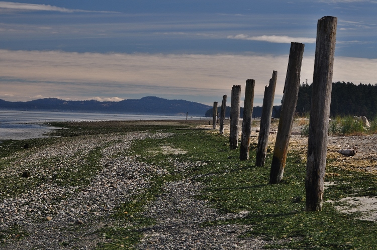 the spit